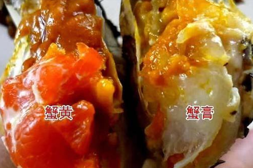 蟹黄和蟹膏 蟹黄和蟹膏